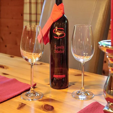 Holiday home Village Wildschoenau In Kitzbuehel Alps Niederau