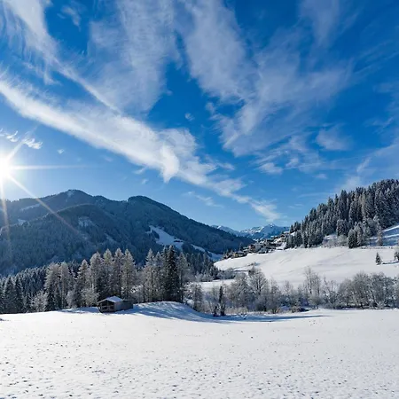 Village In Kitzbuehel Alps