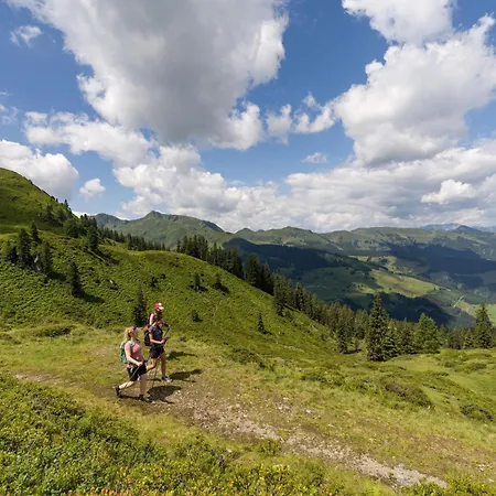 Дом отдыха Village In Kitzbuehel Alps Вильдшёнау