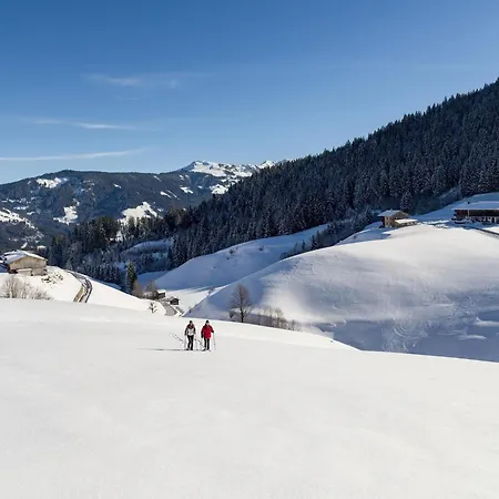 Дом отдыха Village In Kitzbuehel Alps *
