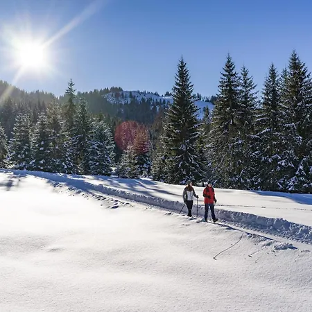 Village In Kitzbuehel Alps Feriehus
